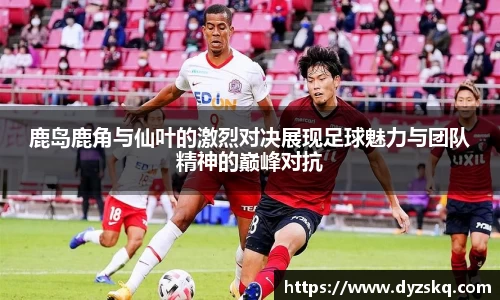 bsports必一体育